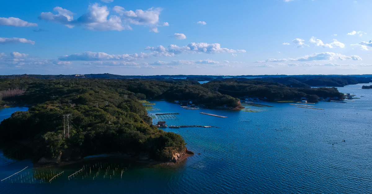 まる天,天ぷら,さつま揚げ,贈り物,通販