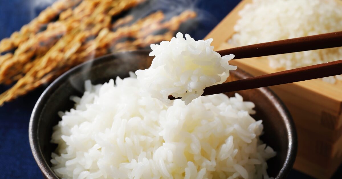 ビストロ,炊飯器,米,パナソニック,Bistro